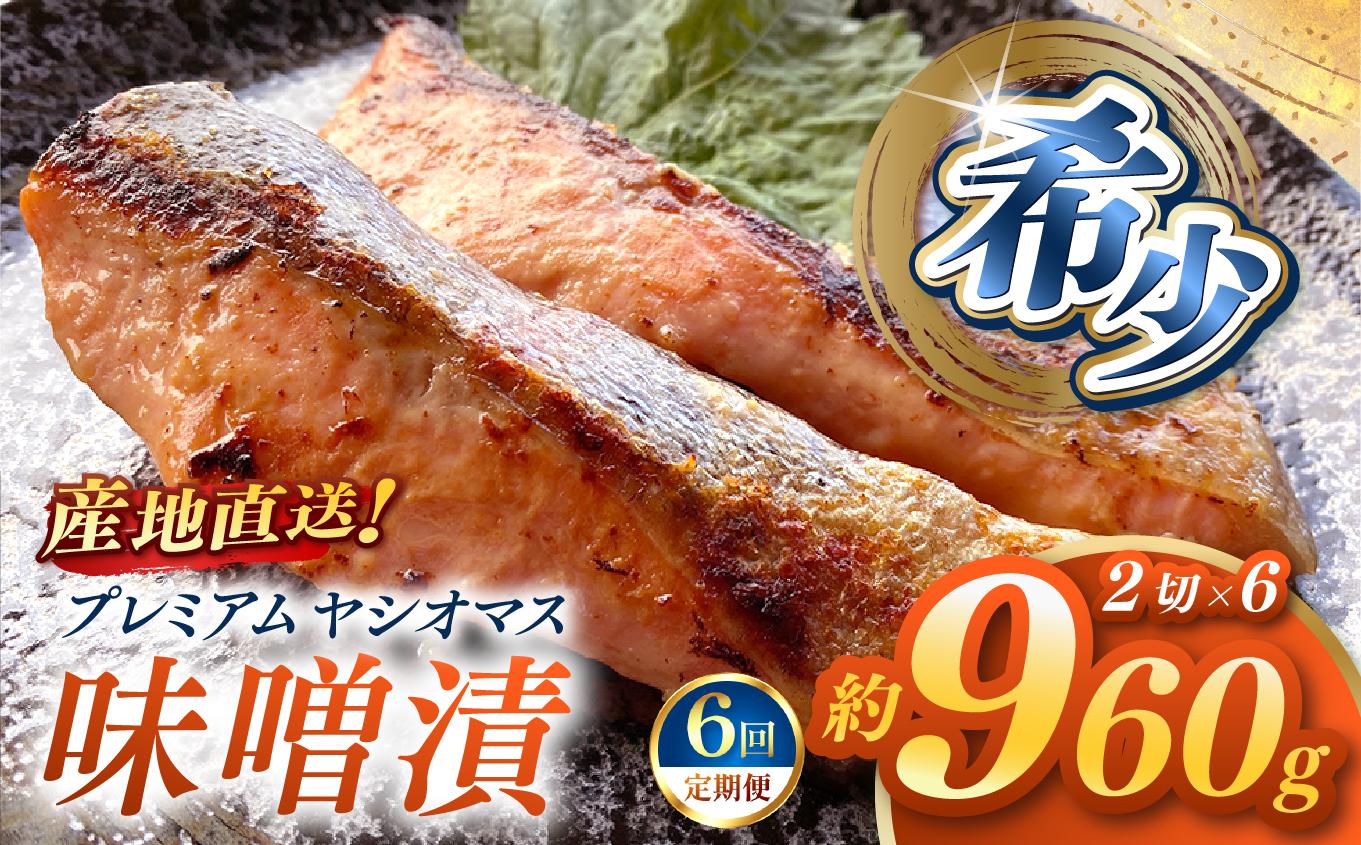 【定期便6回】「プレミアムヤシオマス」の味噌漬 2切入×6パック  [ 冷凍便 ] | 魚 ます 養殖 産地直送 栃木県 (毎月お届け）