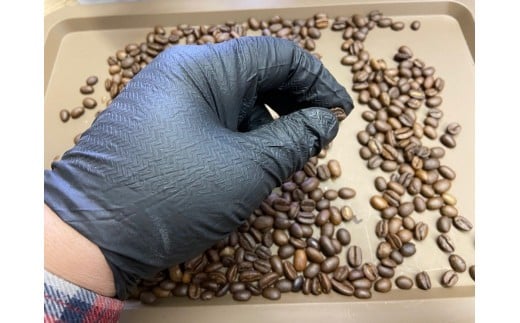 [やいたブランド認証品] 自家焙煎珈琲豆 YAITA BLEND《TSUTSUJI》(シティロースト) 100g×3袋【豆でお届け】｜SAKURA黒猫堂 珈琲 焙煎 コーヒー豆 矢板市 やいたブランド