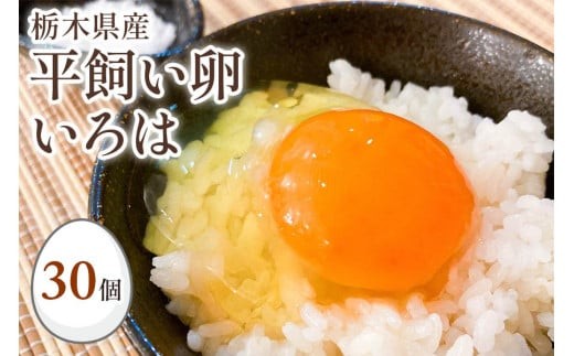 全体的に甘みとコクのある黄身が特徴 ワタナベファームの優等生な末っ子【平飼い卵いろは】