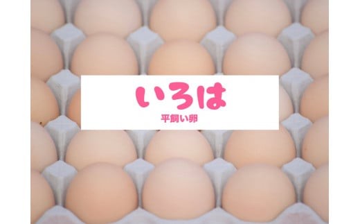 全体的に甘みとコクのある黄身が特徴 ワタナベファームの優等生な末っ子【平飼い卵いろは】