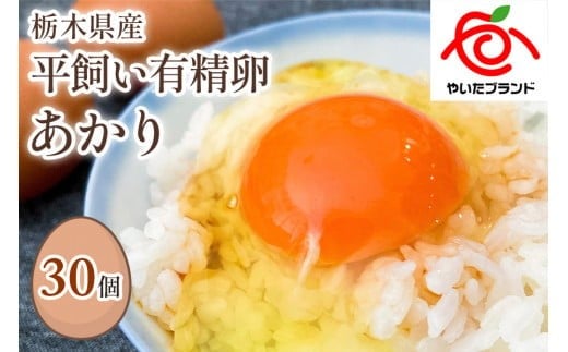 [平飼い有精卵30個] 濃厚な黄身が特徴 ワタナベファームのおてんば長女【平飼い有精卵あかり】