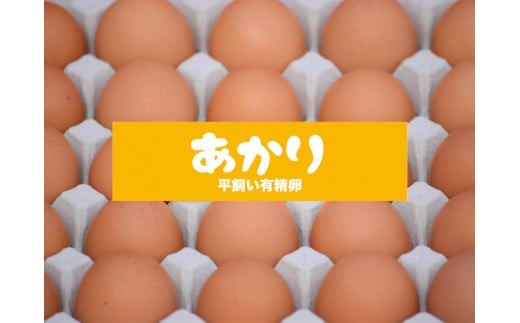 [平飼い有精卵30個] 濃厚な黄身が特徴 ワタナベファームのおてんば長女【平飼い有精卵あかり】