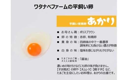 [平飼い有精卵30個] 濃厚な黄身が特徴 ワタナベファームのおてんば長女【平飼い有精卵あかり】