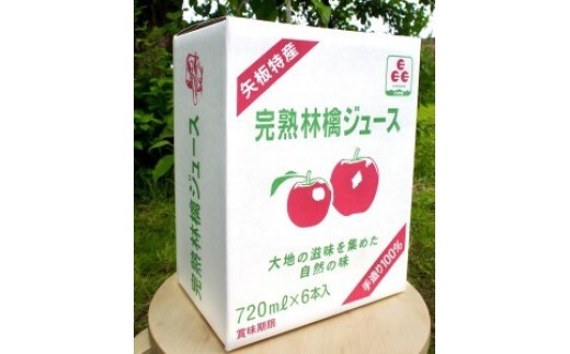 【定期便6回】 矢板市産 完熟りんごジュース《720ml×6本 2箱》｜林檎 リンゴ 果汁100% 産地直送 (毎月お届け） 