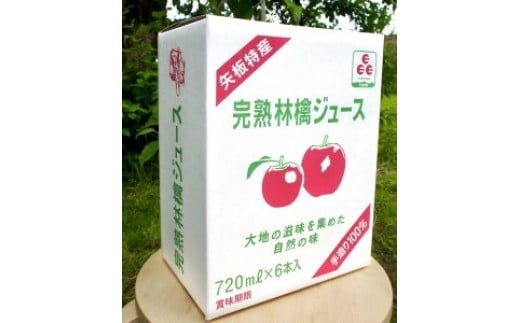 【定期便3回】 矢板市産 完熟りんごジュース《720ml×6本 2箱》｜林檎 リンゴ 果汁100% 産地直送 (毎月お届け）  