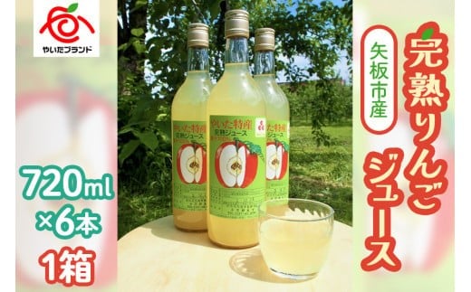 【定期便6回】 矢板市産 完熟りんごジュース《720ml×6本 1箱》｜林檎 リンゴ 果汁100% 産地直送 (毎月お届け）  