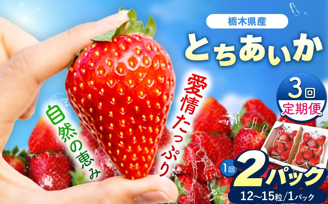 【定期便3回】栃木県産 いちご とちあいか 12～15粒 × 2P 先行予約 選べる発送月 定期便3回 (1月・2月・3月お届け）｜栃木県産 矢板市産 フルーツ スイーツ デザート 果物 果実 産地直送 栃木県 矢板市