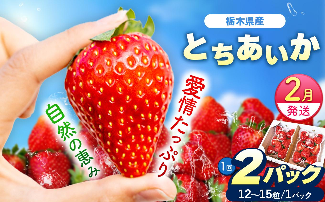 [2月以降発送][期間限定] 栃木県産 いちご とちあいか 12～15粒 × 2P 先行予約 選べる発送月 定期便3回｜栃木県産 矢板市産 フルーツ スイーツ デザート 果物 果実 産地直送 栃木県 矢板市
