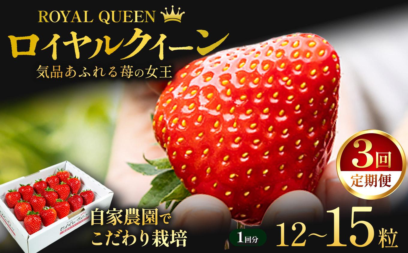 【定期便3回】いちごの女王 ★ロイヤルクイーン★ 12～15粒 2027年 1～4月上旬発送！【2027年先行予約】栃木県 矢板市産
