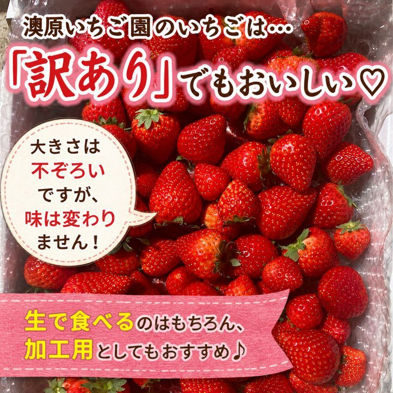 ãå®æäŸ¿2åãèš³ãã ç²äžæã ãšã¡ããã 560g (280gÃ2P) | æ æšç ç¢æ¿åž 柳åãã¡ã蟲å