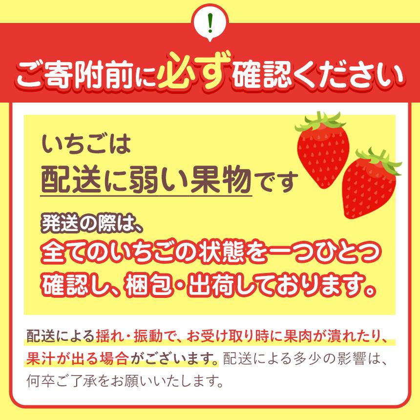 【2027年先行予約】大粒スカイベリー×白いちごミルキーベリー 食べ比べセット 560g