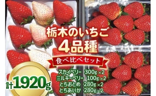 いちご4品種 食べ比べセット 1,920g （とちあいか・とちおとめ・ミルキーベリー・ スカイベリー） 《1月～4月の期間で発送》 澳原いちご農園 | いちご 苺 イチゴ フルーツ 果物 産地直送 栃木県産