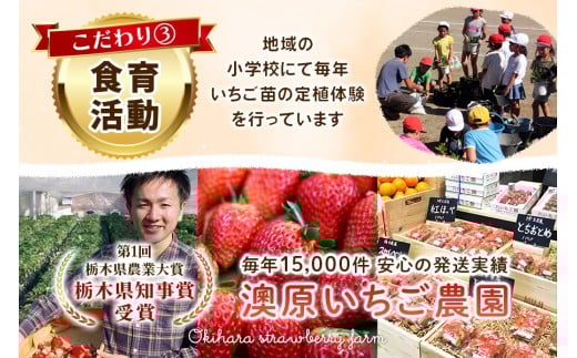 いちごの贅沢！栃木の3品種食べ比べセット 1,920g (960g×2) 《12月中旬～4月の期間で発送》 澳原いちご農園 | いちご 苺 イチゴ フルーツ 果物 産地直送 栃木県産