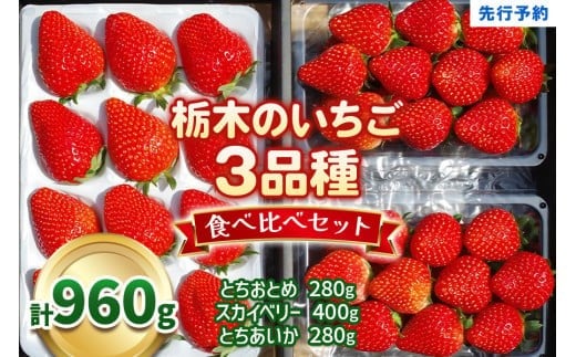 【3月以降発送】いちごの贅沢！栃木の3品種食べ比べセット 960g 澳原いちご農園  | いちご 苺 イチゴ フルーツ 果物 産地直送 栃木県産