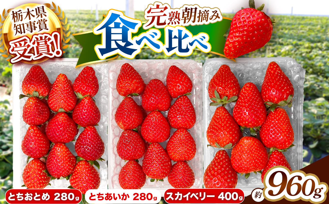 いちご3品種 食べ比べセット 960g(とちあいか・スカイベリー・とちおとめ)