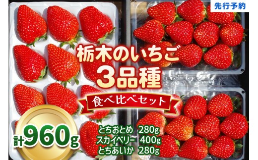 いちご3品種 食べ比べセット 960g(とちあいか・スカイベリー・とちおとめ)