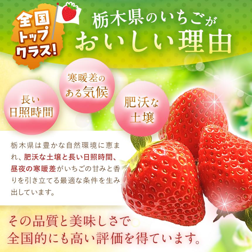 いちご3品種 食べ比べセット 960g(とちあいか・スカイベリー・とちおとめ)
