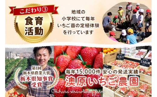いちご3品種 食べ比べセット 960g(とちあいか・スカイベリー・とちおとめ)