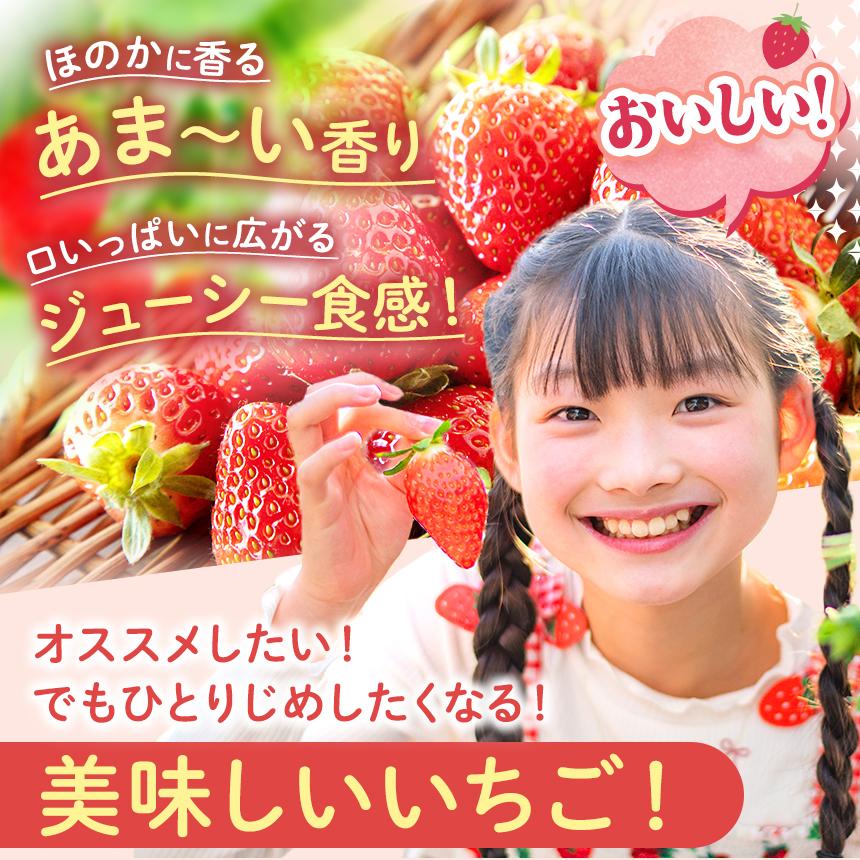 いちご3品種 食べ比べセット 960g(とちあいか・スカイベリー・とちおとめ)