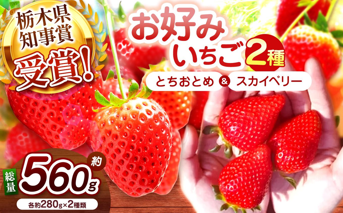 【2027年先行予約】大粒スカイベリー×元祖とちおとめ 食べ比べセット 560g