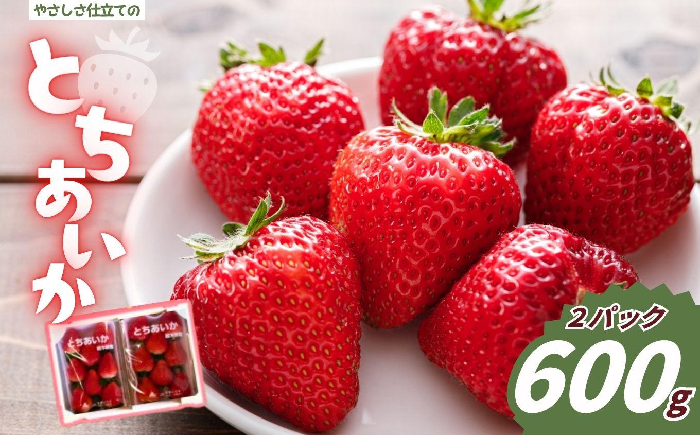 やさしさ仕立ての とちあいか 300g×2P 【2027年先行予約】 栃木県 矢板市