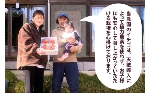  [12月中旬より順次発送予定] 朝摘みとちあいか 600g (300g×2パック)｜いちご イチゴ 苺 フルーツ 果物 産地直送 矢板市産 栃木県産 先行予約 