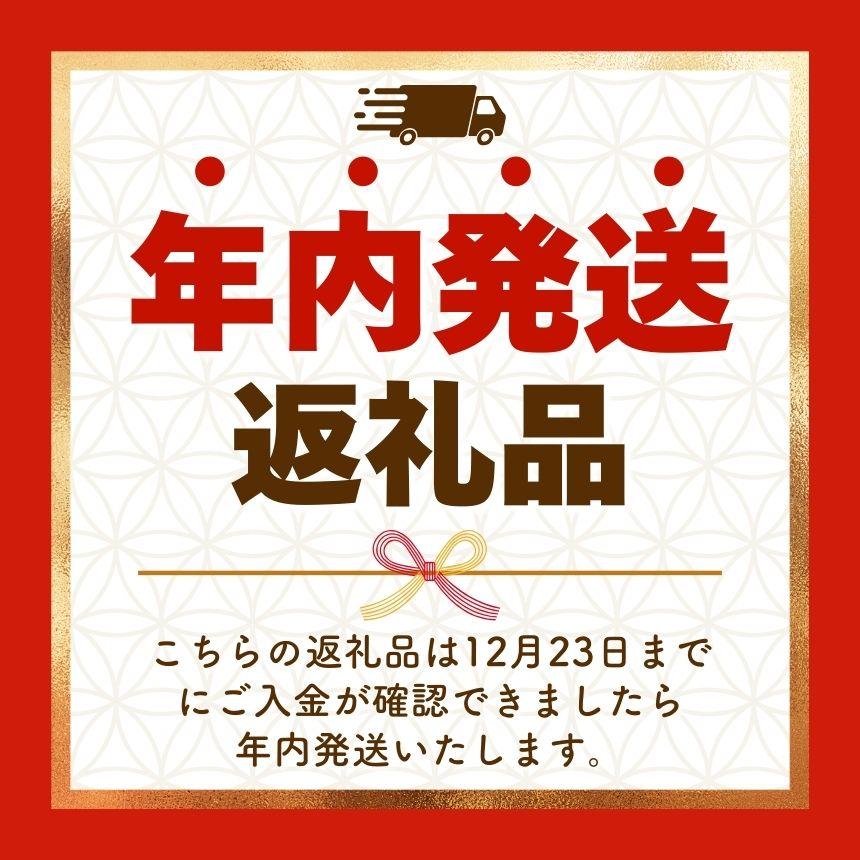  [12月中旬より順次発送予定] 朝摘みとちあいか 600g (300g×2パック)｜いちご イチゴ 苺 フルーツ 果物 産地直送 矢板市産 栃木県産 先行予約 