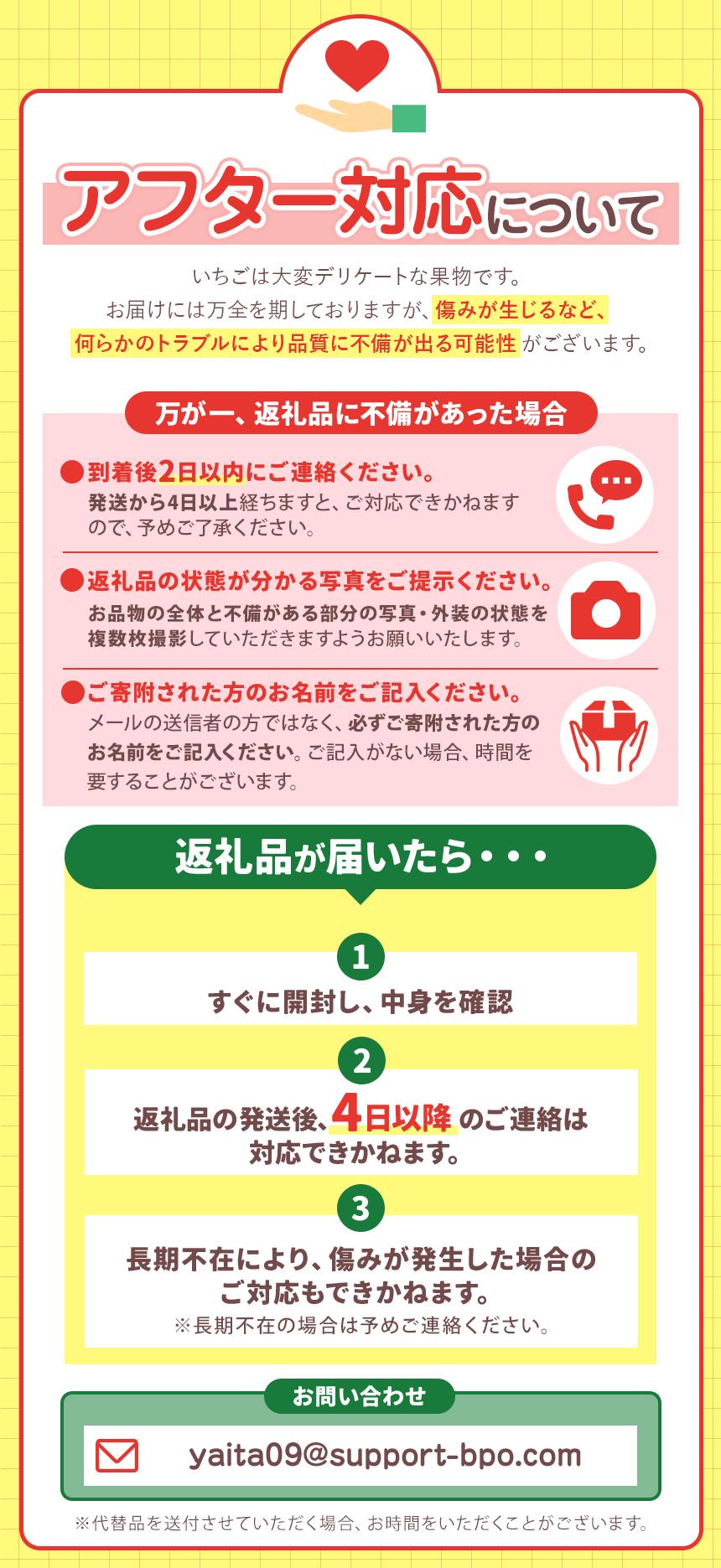 [2026年1月より順次発送予定]朝採りスカイベリー 600g (300g×2パック)｜いちご イチゴ 苺 フルーツ 果物 産地直送 矢板市産 栃木県産 先行予約