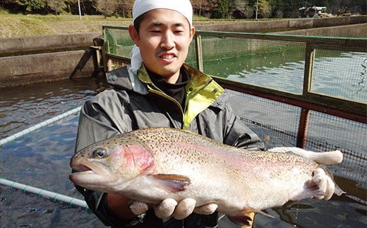 【定期便6回】産地直送栃木県のブランド魚「プレミアムヤシオマス」の切身セット 味噌漬、塩麹漬、刺身(生食用) | 国産 産地直送  [ 冷凍便 ] | 魚 ます 養殖 産地直送 栃木県 (毎月お届け）