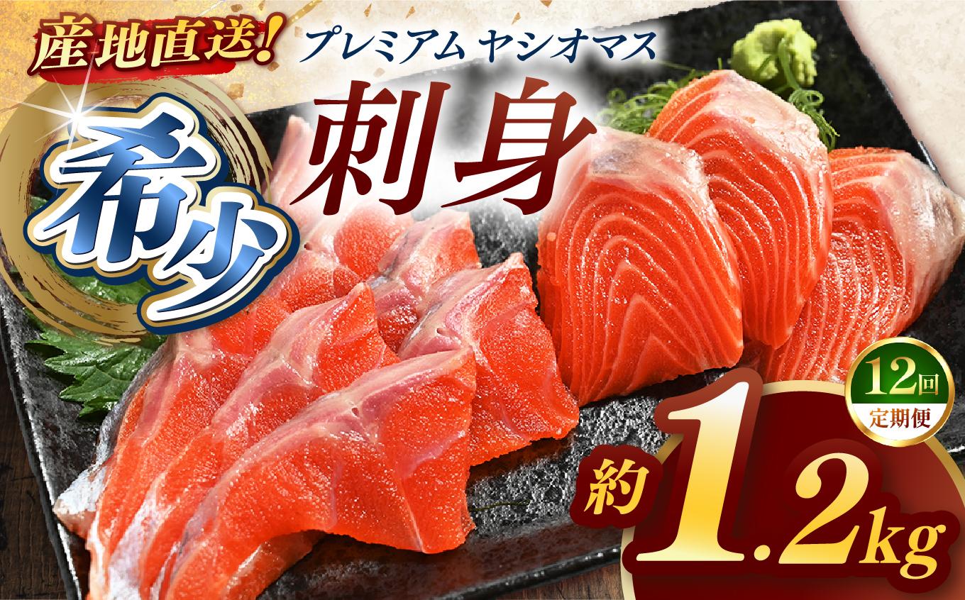 【定期便12回】産地直送栃木県のブランド魚「プレミアムヤシオマス」の刺身 1,200g (200g×6パック)   [ 冷凍便 ] | 魚 ます 養殖 産地直送 栃木県 (毎月お届け）