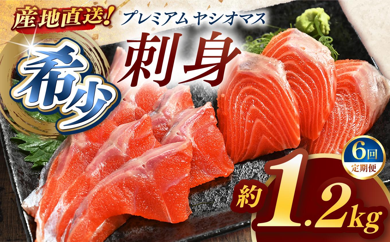 【定期便6回】産地直送栃木県のブランド魚「プレミアムヤシオマス」の刺身 1,200g (200g×6パック)   [ 冷凍便 ] | 魚 ます 養殖 産地直送 栃木県 (毎月お届け）