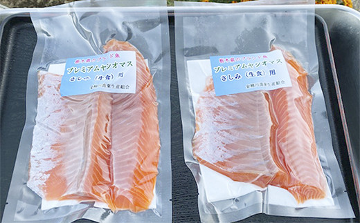 産地直送栃木県のブランド魚「プレミアムヤシオマス」の刺身 1,200g (200g×6パック)   [ 冷凍便 ] | 魚 ます 養殖 産地直送 栃木県