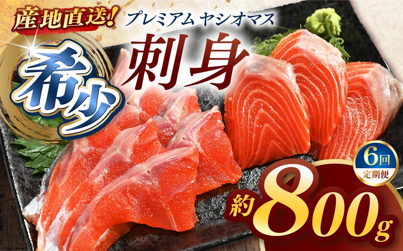 【定期便6回】産地直送栃木県のブランド魚「プレミアムヤシオマス」の刺身 800g (200g×4パック)  [ 冷凍便 ] | 魚 ます 養殖 産地直送 栃木県 (毎月お届け）