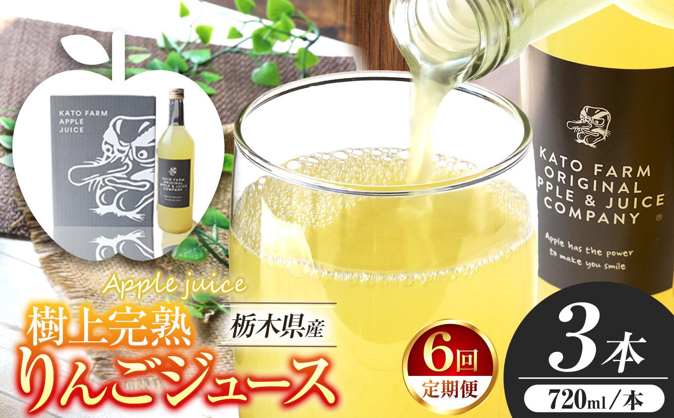 【定期便6回】栃木県矢板市産 樹上完熟100％りんごジュース 720ml×3本入  | 林檎 リンゴ 果汁100% 産地直送 (毎月お届け）