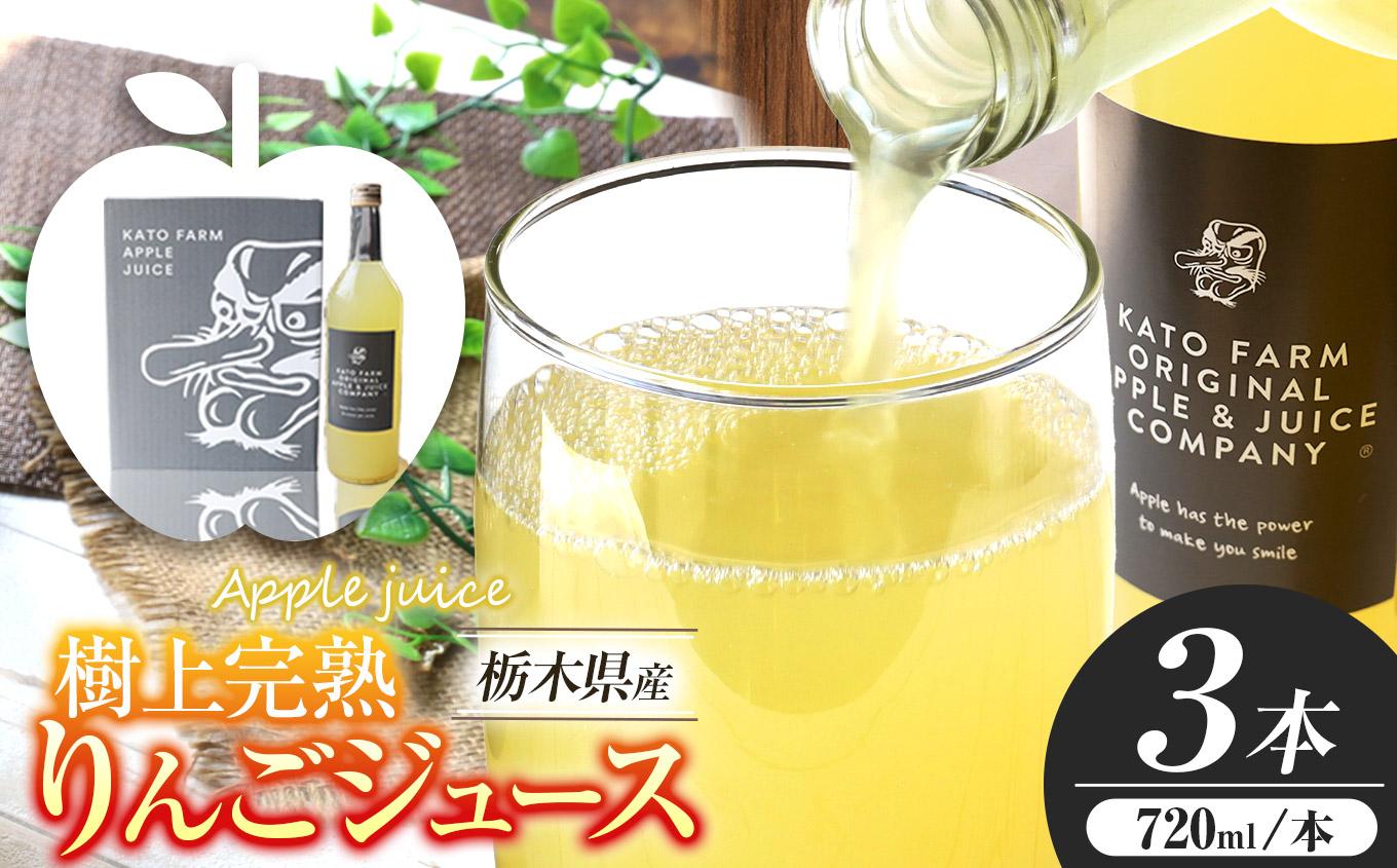 栃木県矢板市産 樹上完熟100％りんごジュース 720ml×3本入  | 林檎 リンゴ 果汁100% 産地直送