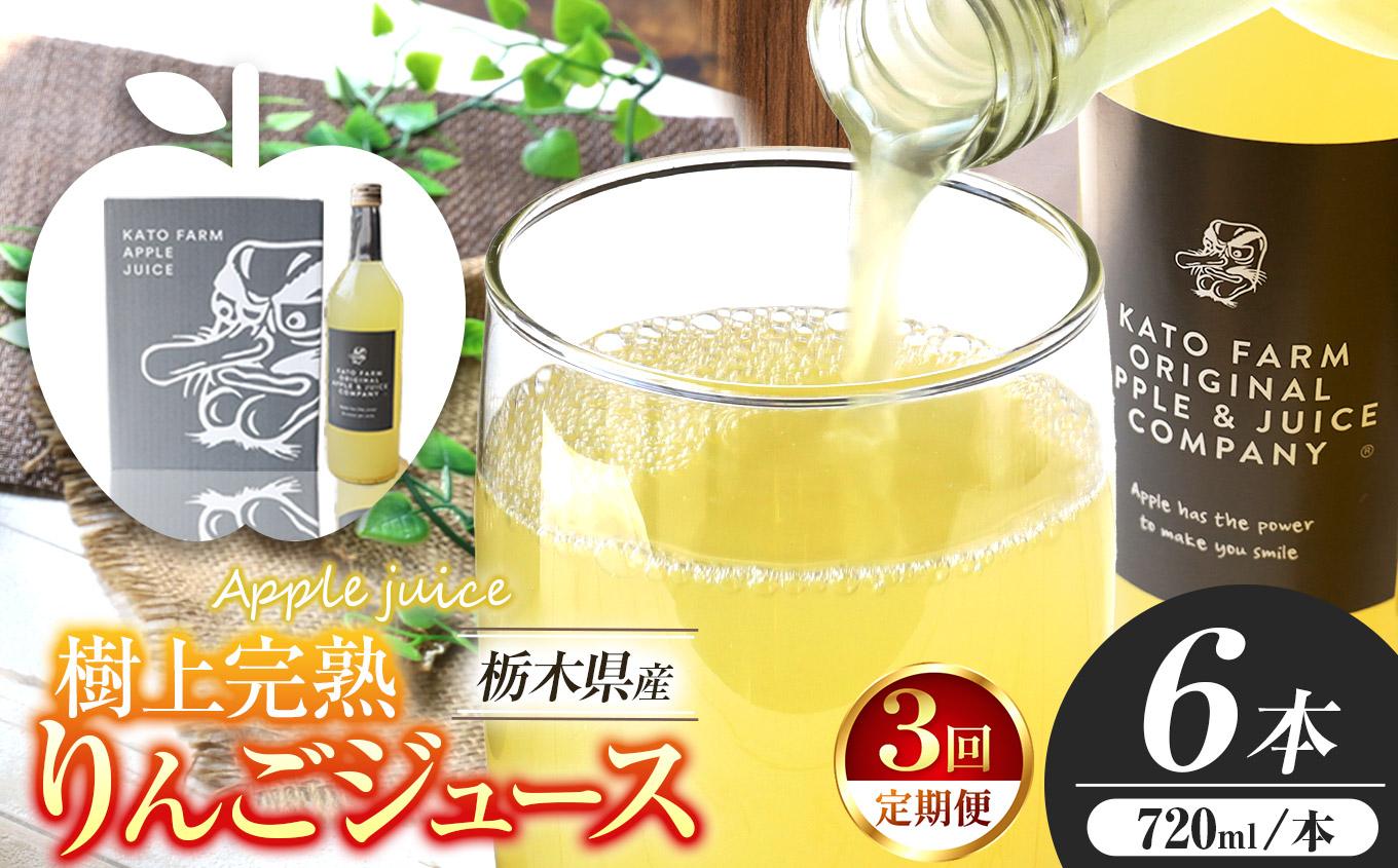 【定期便3回】栃木県矢板市産 樹上完熟100％りんごジュース 720ml×6本入  | 林檎 リンゴ 果汁100% 産地直送 (毎月お届け）