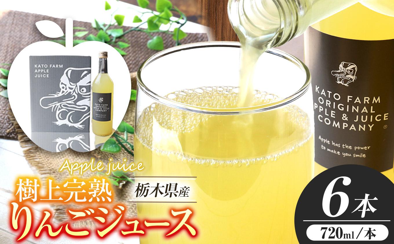 栃木県矢板市産 樹上完熟100％りんごジュース 720ml×6本入  | 林檎 リンゴ 果汁100% 産地直送