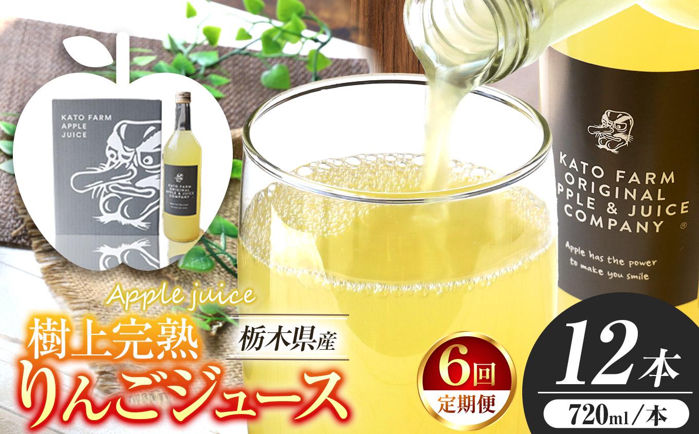 【定期便6回】栃木県矢板市産 樹上完熟100％りんごジュース 720ml×12本入  | 林檎 リンゴ 果汁100% 産地直送 (毎月お届け）