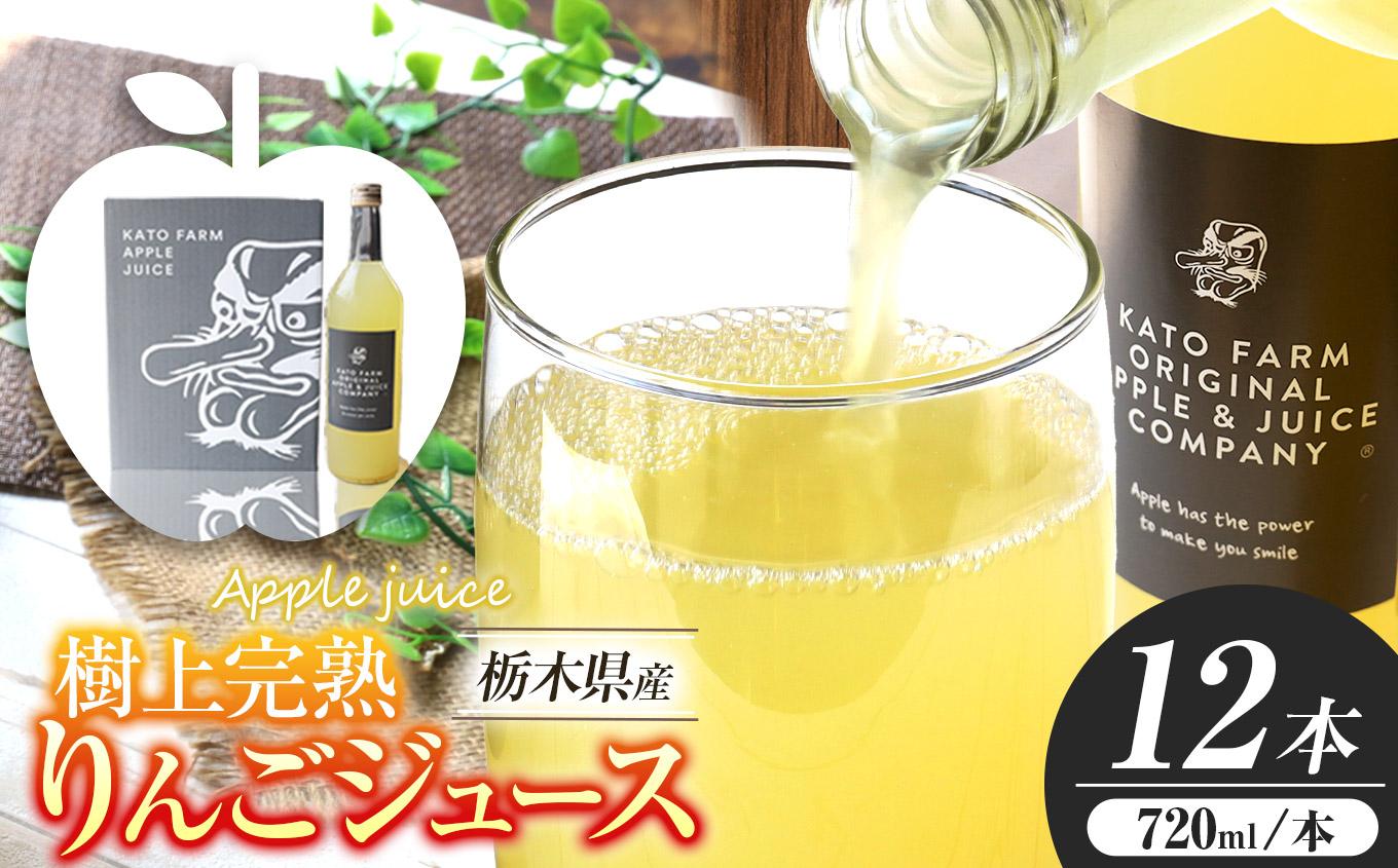 栃木県矢板市産 樹上完熟100％りんごジュース 720ml×12本入  | 林檎 リンゴ 果汁100% 産地直送