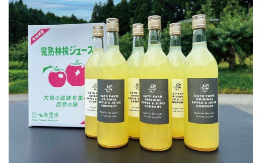 栃木県矢板市産 樹上完熟100％りんごジュース 720ml×12本入  | 林檎 リンゴ 果汁100% 産地直送  