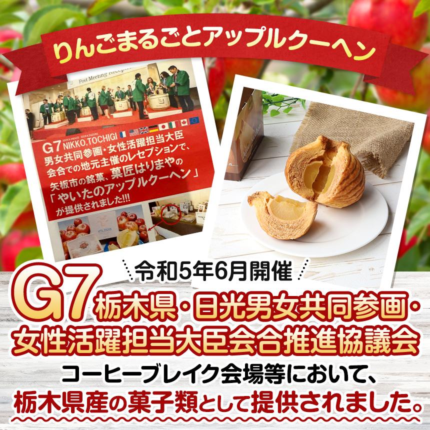 りんごまるごと アップルクーヘン 2個入 ｜林檎 リンゴ 焼菓子 洋菓子 銘菓 バームクーヘン バウムクーヘン スイーツ  