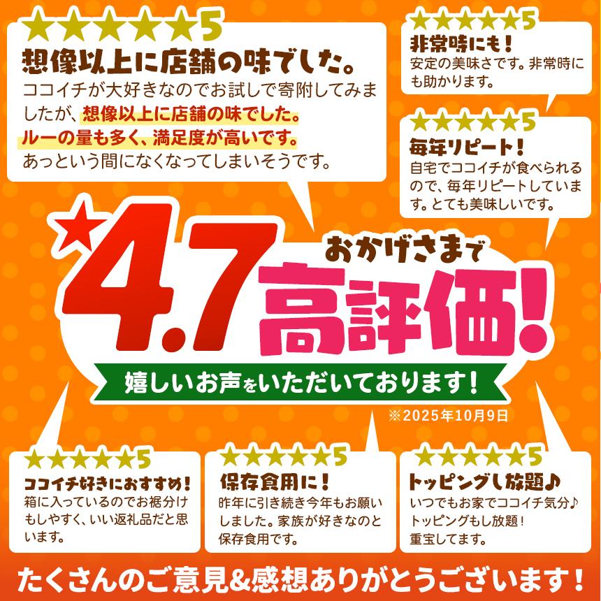 ココイチ カレー Oセット (甘口ポーク10個) ｜カレー CoCo壱番屋 常温保存 非常食 簡単 時短 自宅用 キャンプ  ふるさと納税