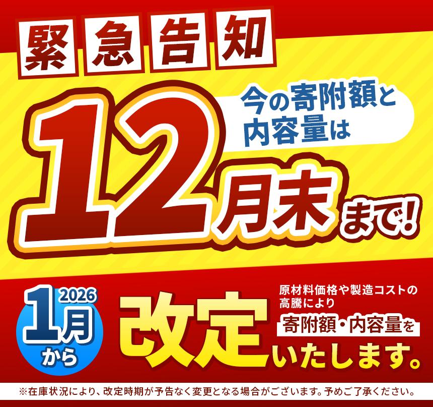 ココイチ カレーMセット （ポーク10個） ｜カレー CoCo壱番屋 常温保存 非常食 簡単 時短 自宅用 キャンプ  ふるさと納税
