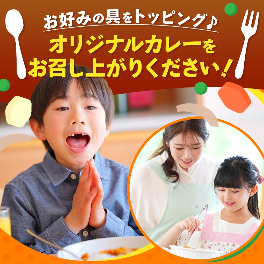 一番人気！ココイチ カレー Bセット（ビーフ・ポーク各5個 定番）｜カレー CoCo壱番屋 常温保存 非常食 簡単 時短 自宅用 キャンプ  ふるさと納税