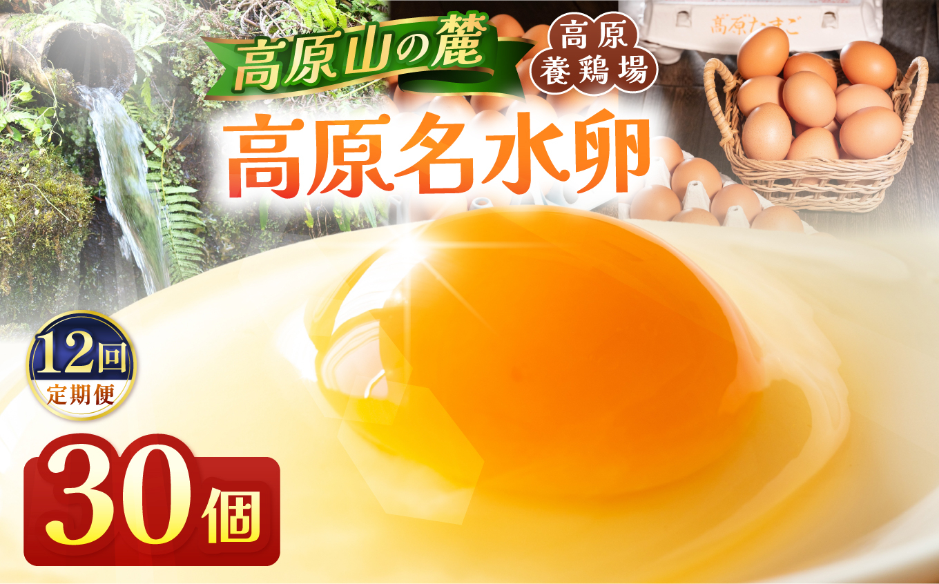 【定期便12回】高原名水 卵 30個｜豊かな自然で育ったアスタキサンチン含有の高原名水卵【感動の甘さと濃さ】栃木県 矢板市