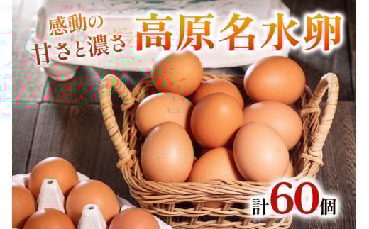高原名水 卵 60個｜豊かな自然で育ったアスタキサンチン含有の高原名水卵【感動の甘さと濃さ】栃木県 矢板市