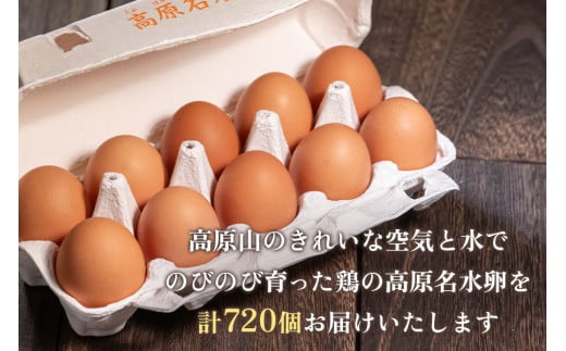 [定期便／12ヶ月] 高原名水卵 60個×12か月連続 豊かな自然で育ったアスタキサンチン含有の高原名水卵【感動の甘さと濃さ】｜こだわり卵 たまご タマゴ 玉子 生卵 鶏卵 高原養鶏場 矢板市産 