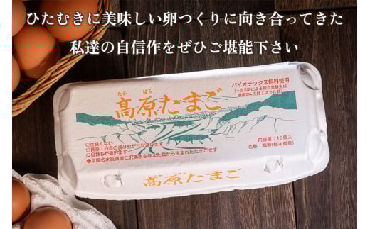 [定期便／12ヶ月] 高原名水卵 60個×12か月連続 豊かな自然で育ったアスタキサンチン含有の高原名水卵【感動の甘さと濃さ】｜こだわり卵 たまご タマゴ 玉子 生卵 鶏卵 高原養鶏場 矢板市産 