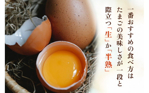 [定期便／12ヶ月] 高原名水卵 60個×12か月連続 豊かな自然で育ったアスタキサンチン含有の高原名水卵【感動の甘さと濃さ】｜こだわり卵 たまご タマゴ 玉子 生卵 鶏卵 高原養鶏場 矢板市産 