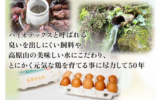 [定期便／12ヶ月] 高原名水卵 60個×12か月連続 豊かな自然で育ったアスタキサンチン含有の高原名水卵【感動の甘さと濃さ】｜こだわり卵 たまご タマゴ 玉子 生卵 鶏卵 高原養鶏場 矢板市産 